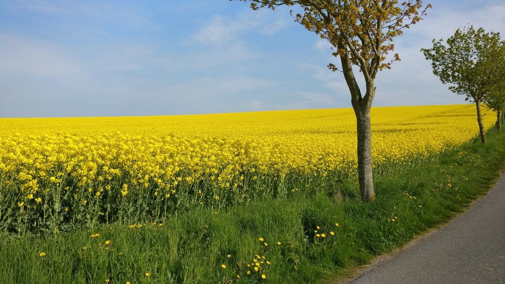 Ferien An Der Ostsee Thomsdorf  Eksteriør bilde